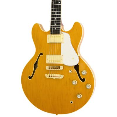 AriaProII アリアプロ2 TA-TONIC AMB セミアコースティックギター ハードケース付き 詳細画像