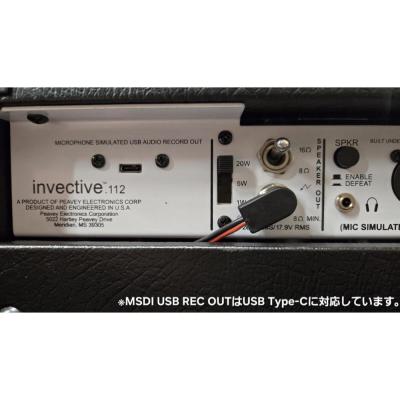 PEAVEY ピーヴィー invective.112 Guitar Combo Amplifier ギターアンプ コンボ パネル画像