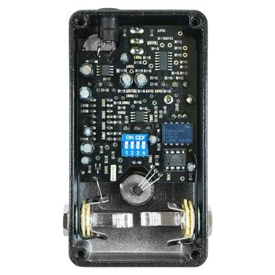 VAHLBRUCH ファールブルーフ VAHLBRUCH SpaceTime V3 ディレイ エコー ギターエフェクタ 基盤