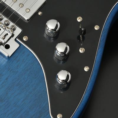 BACCHUS バッカス Global Series GS-HOLLOW BLU-S-MH エレキギター コントロール部
