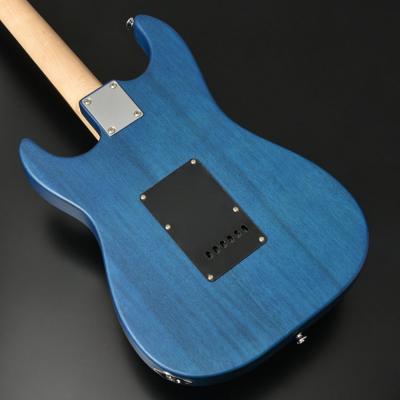 BACCHUS バッカス Global Series GS-HOLLOW BLU-S-MH エレキギター ボディ部裏