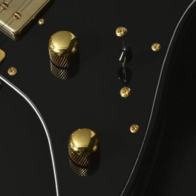 BACCHUS バッカス Global Series GS-HOLLOW-CTM BLK エレキギター コントロール部