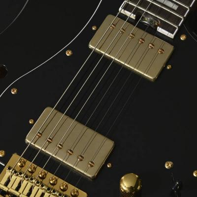 BACCHUS バッカス Global Series GS-HOLLOW-CTM BLK エレキギター ピックアップ部