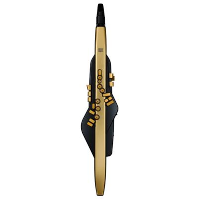 ROLAND AE-30A Aerophone Pro Gold Limited Edition ウィンドシンセサイザー エアロフォン 10周年限定アニバーサリー ゴールド仕様 フロント画像