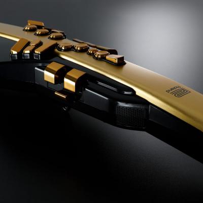 ROLAND AE-30A Aerophone Pro Gold Limited Edition ウィンドシンセサイザー エアロフォン 10周年限定アニバーサリー ゴールド仕様 アップ斜め画像