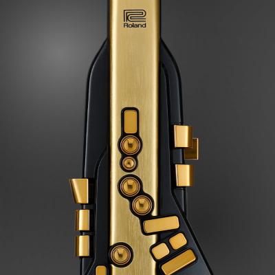 ROLAND AE-30A Aerophone Pro Gold Limited Edition ウィンドシンセサイザー エアロフォン 10周年限定アニバーサリー ゴールド仕様 アップ画像
