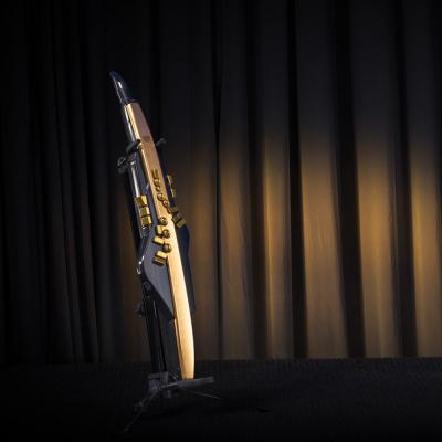 ROLAND AE-30A Aerophone Pro Gold Limited Edition ウィンドシンセサイザー エアロフォン 10周年限定アニバーサリー ゴールド仕様 イメージ画像