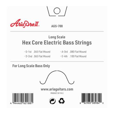 AriaProII AGS-700 フラットワウンド エレキベース弦 パッケージ裏