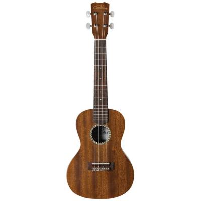 Cordoba 20CM コンサート ウクレレ ギグケース付き