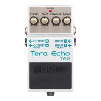 BOSS TE-2 Tera Echo ギターエフェクター