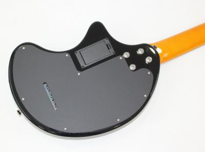 FERNANDES ZO-3芸達者 3SB ミニギター ボディバックの画像