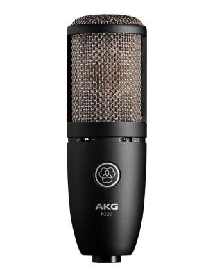 AKG(アカゲ) P220 Project Studio Line コンデンサーマイクロフォン