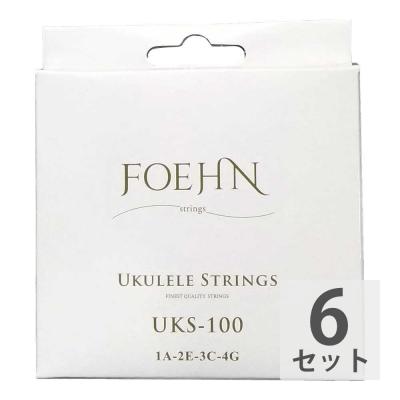 FOEHN UKS-100×6セット Ukulele Strings Soprano/Concert ウクレレ弦 ソプラノ/コンサート用