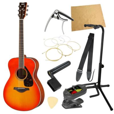 ヤマハから始める!大人のアコギ入門セット YAMAHA FS820 AB アコースティックギター 9点セット