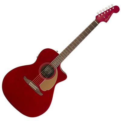 Fender Newporter Player CAR WN エレクトリックアコースティックギター 入門9点セット ギター単体画像