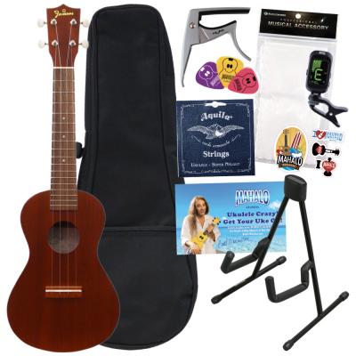 Famous FC-1G コンサートウクレレ 初心者セット