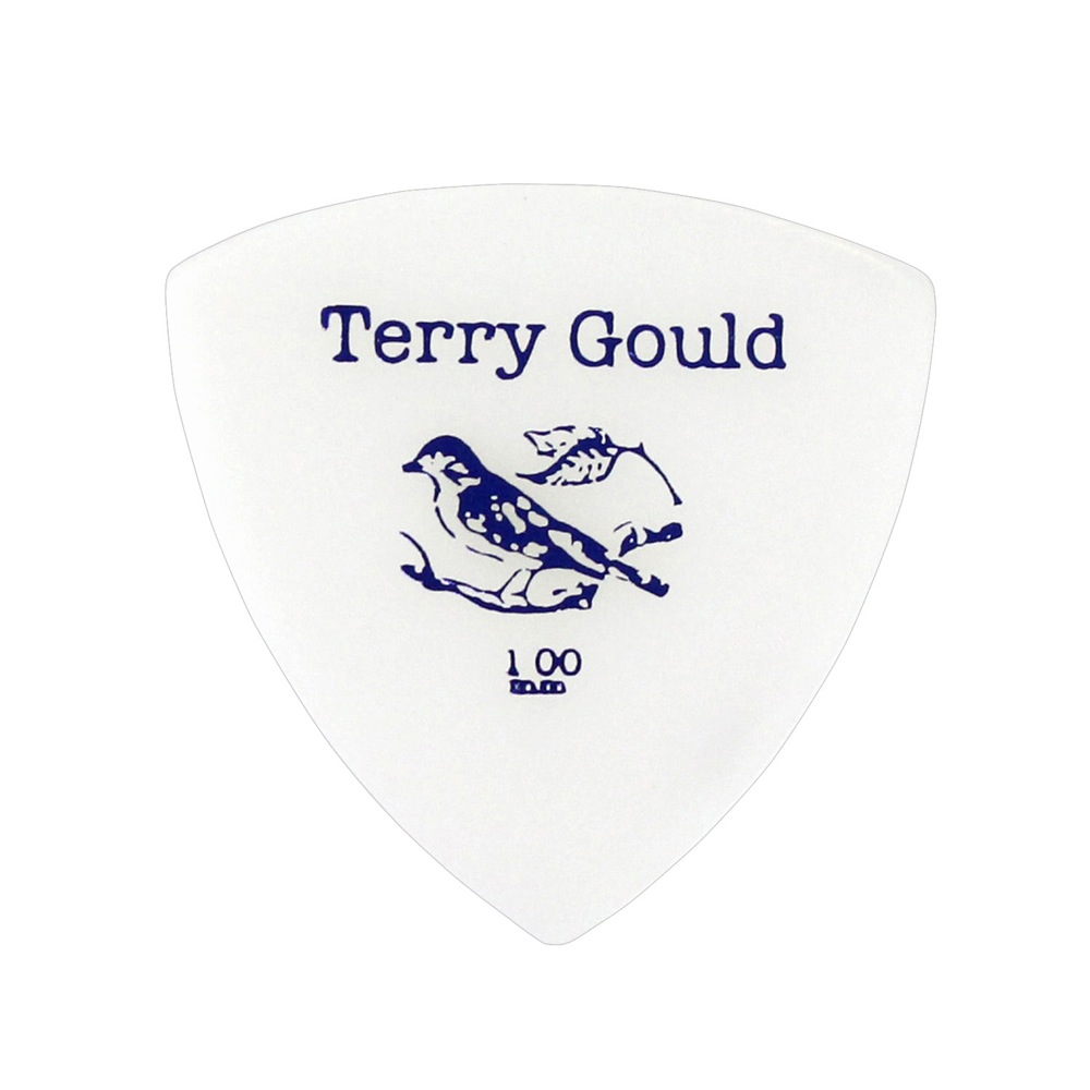 PICKBOY GP-TG-R/100 Terry Gould 1.00mm ギターピック×10枚