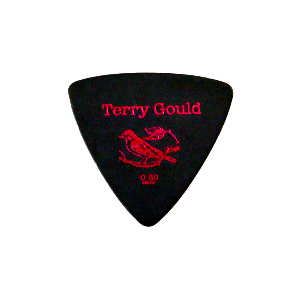PICKBOY GP-TG-RB/06 Terry Gould 0.60mm ギターピック×50枚