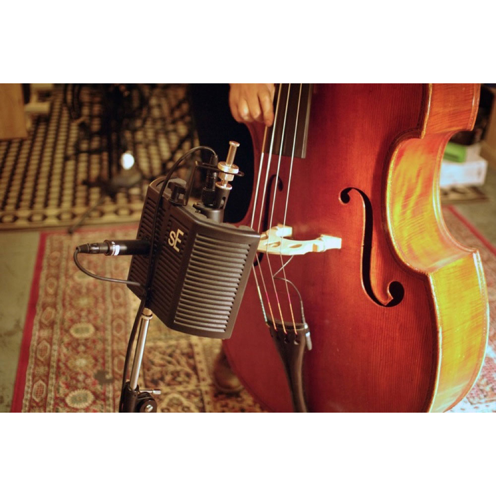 sE ELECTRONICS guitaRF リフレクションフィルター 使用例