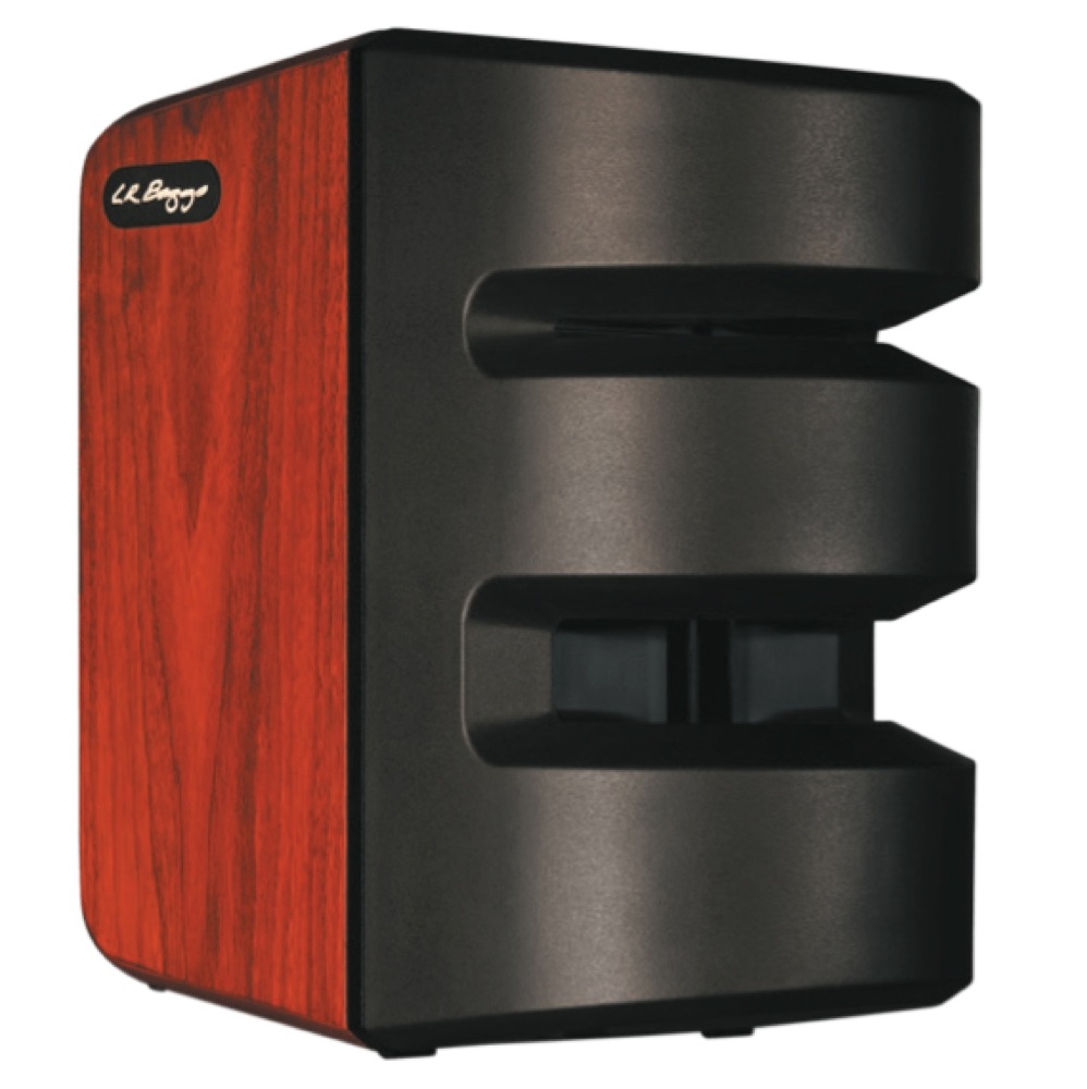 L.R.BAGGS SYNAPSE Personal PA System 正規輸入品
