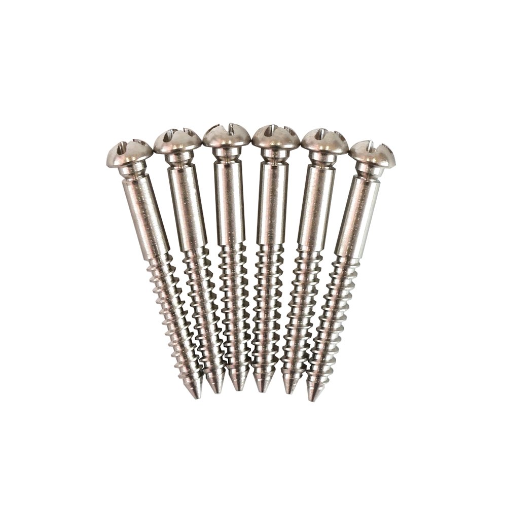 PRS ACC-4023 Tremolo Bridge mounting screws Nickel ギターブリッジ用ネジ