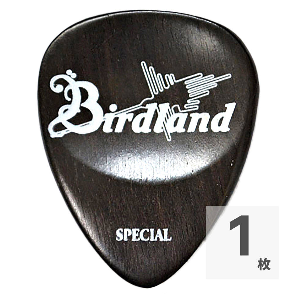 Birdland Ebony Special Pick ギターピック