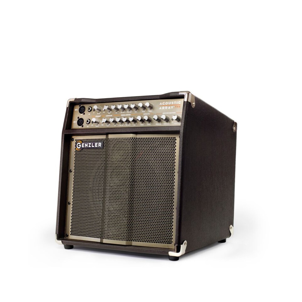 GENZLER ACOUSTIC ARRAY PRO アコースティックギターアンプ