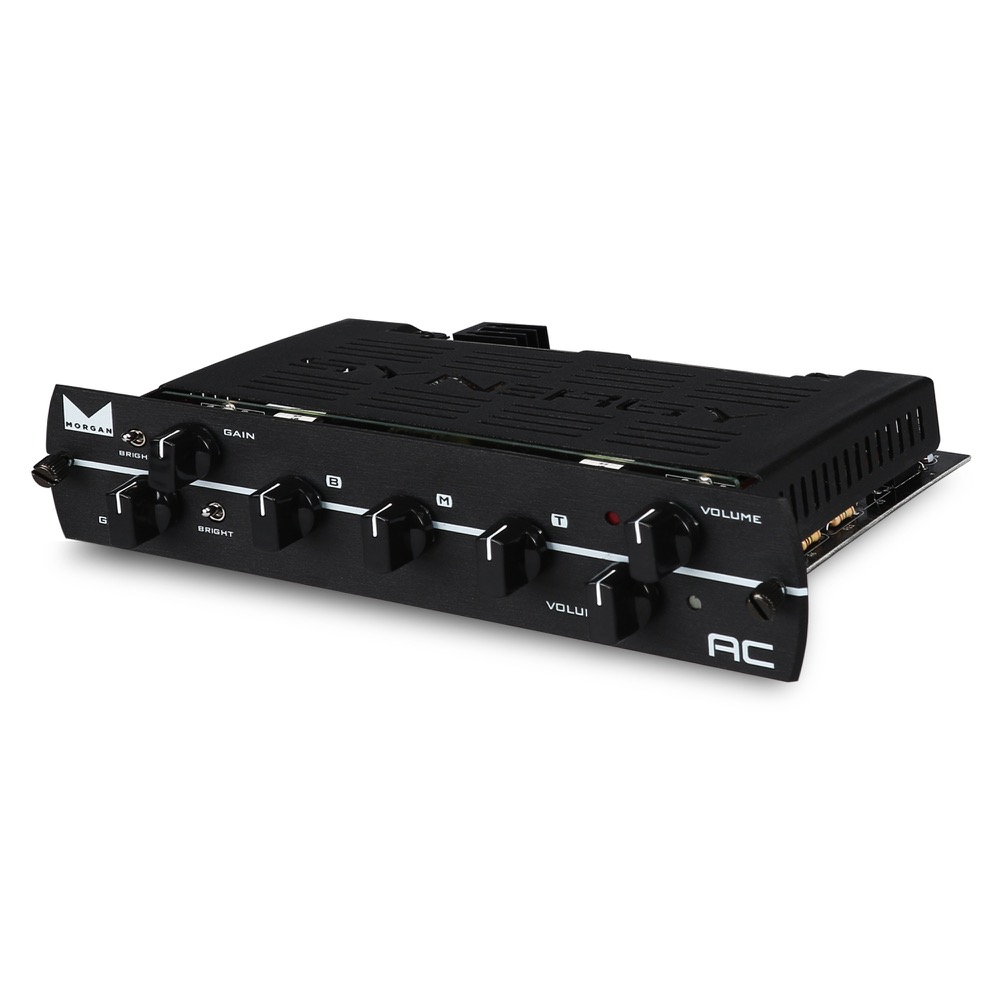 SYNERGY AMPS MORGAN AC module Synergyモジュール 全体像