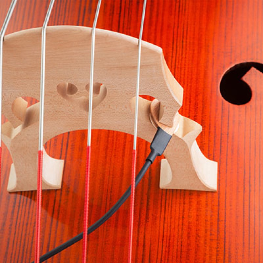 KNA DB-1 Portable Piezo Pickup for Double Bass コントラバス用ピックアップ 使用例