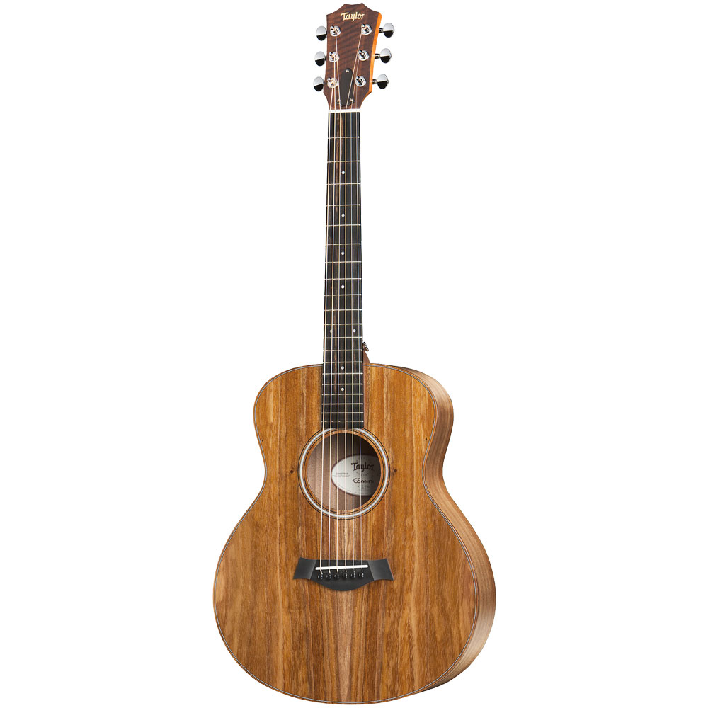 Taylor GS-Mini e-Koa