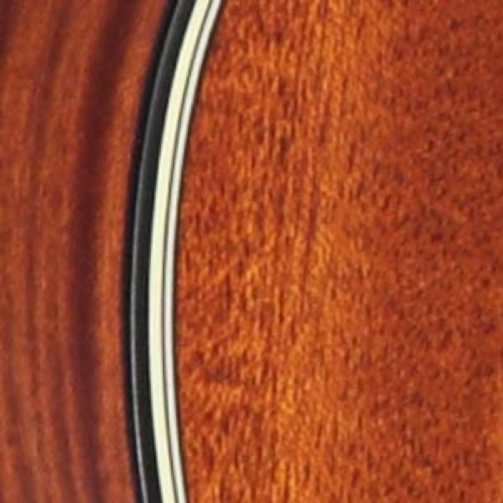 バインディング