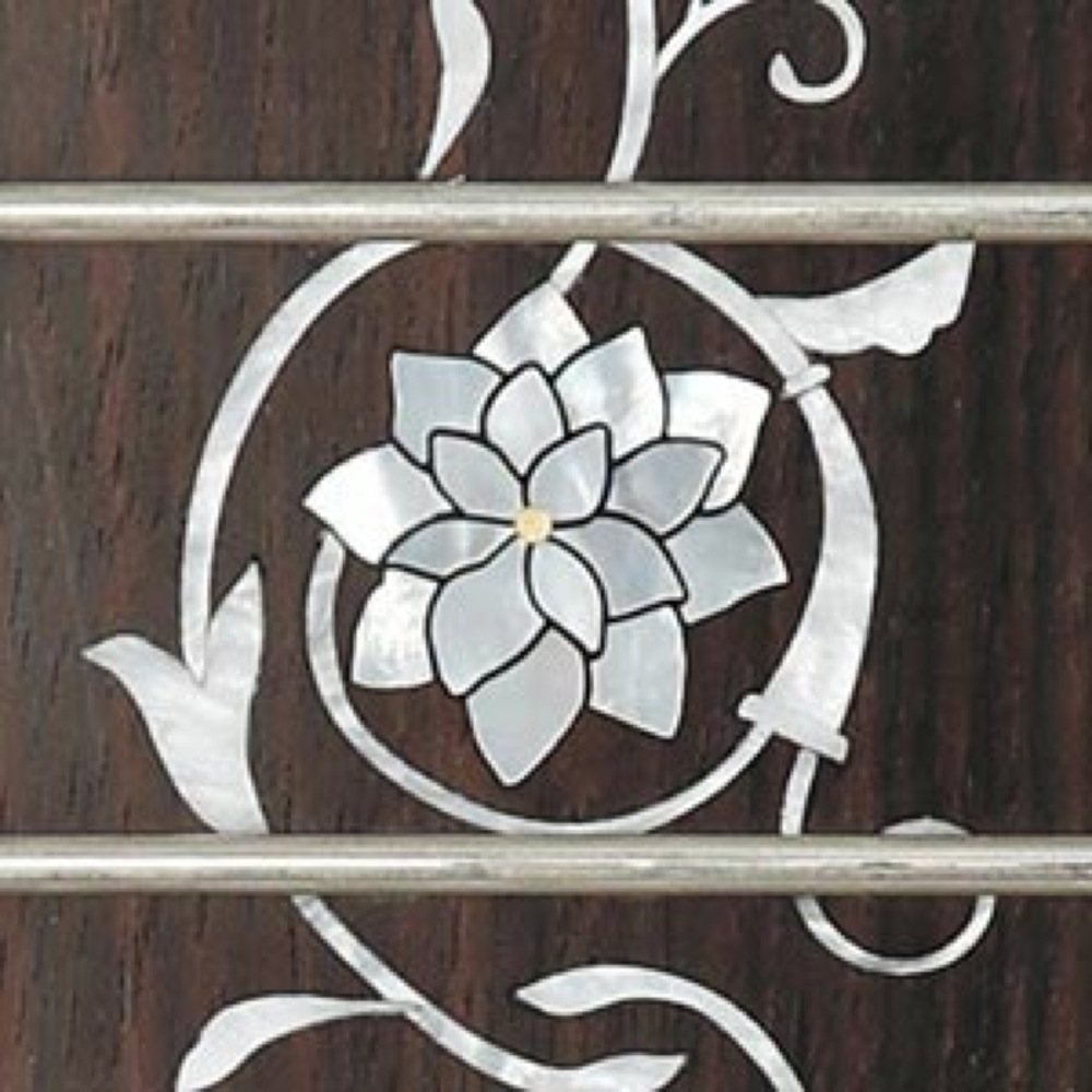 フレットインレイ画像