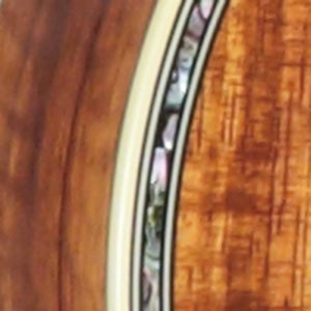 バインディング画像