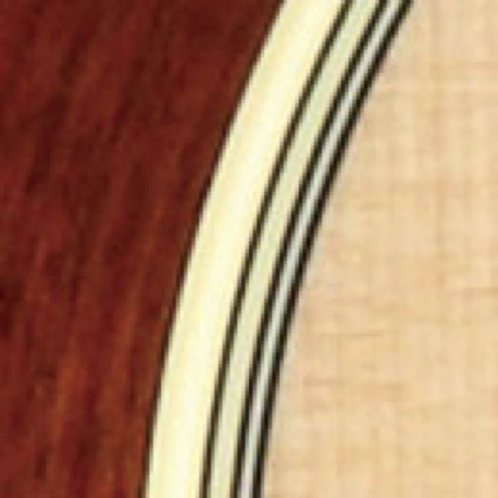 バインディング画像