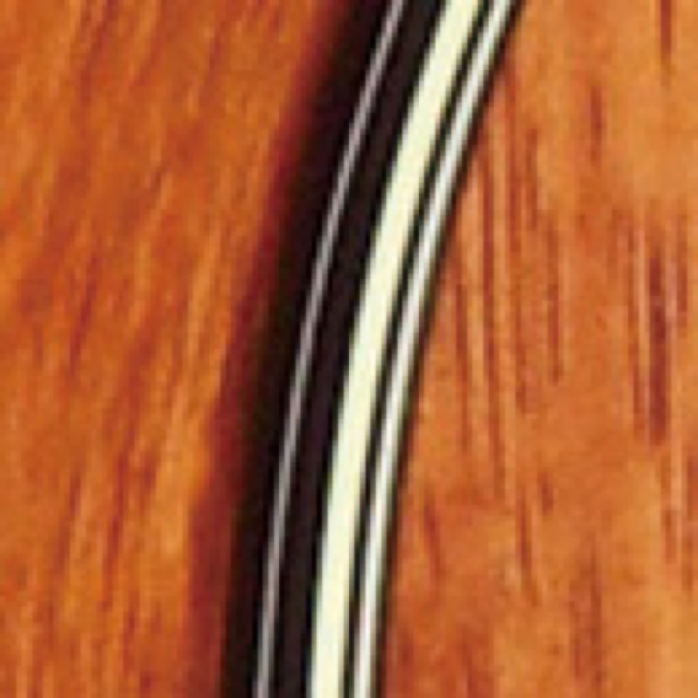 バインディング画像