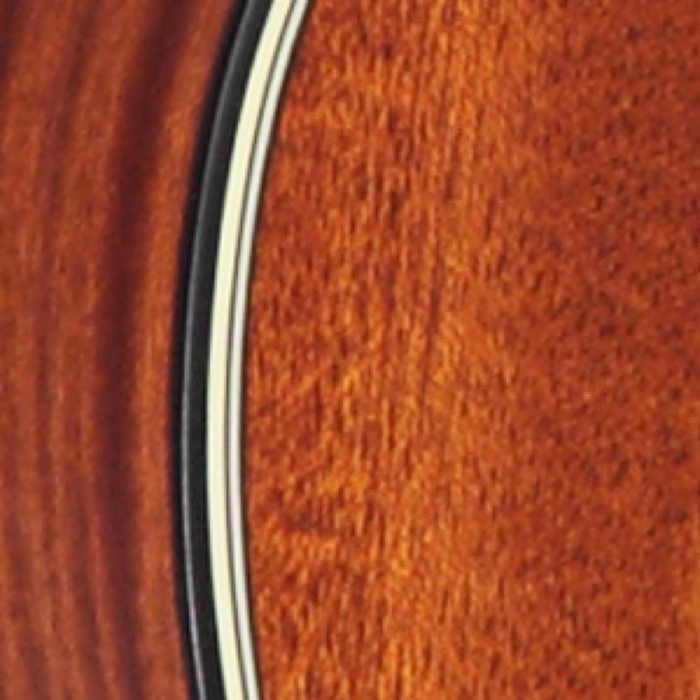 バインディング画像