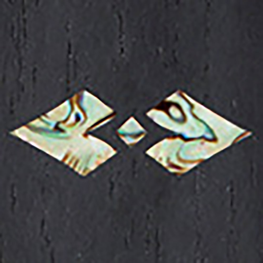 フレットインレイ画像