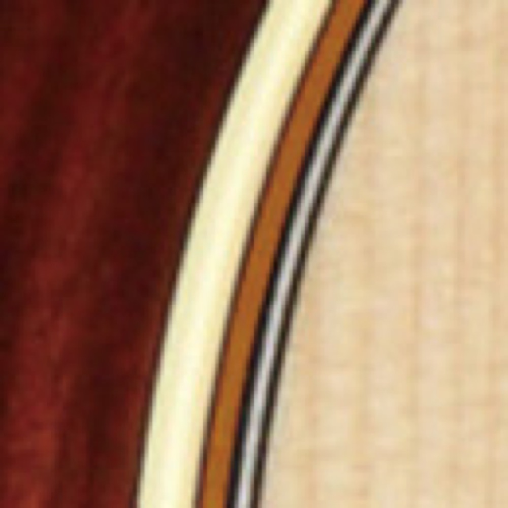 バインディング画像