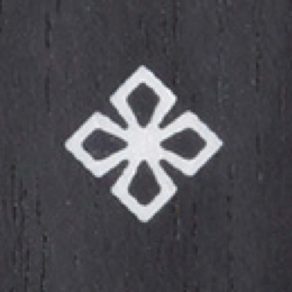 フレットインレイ画像