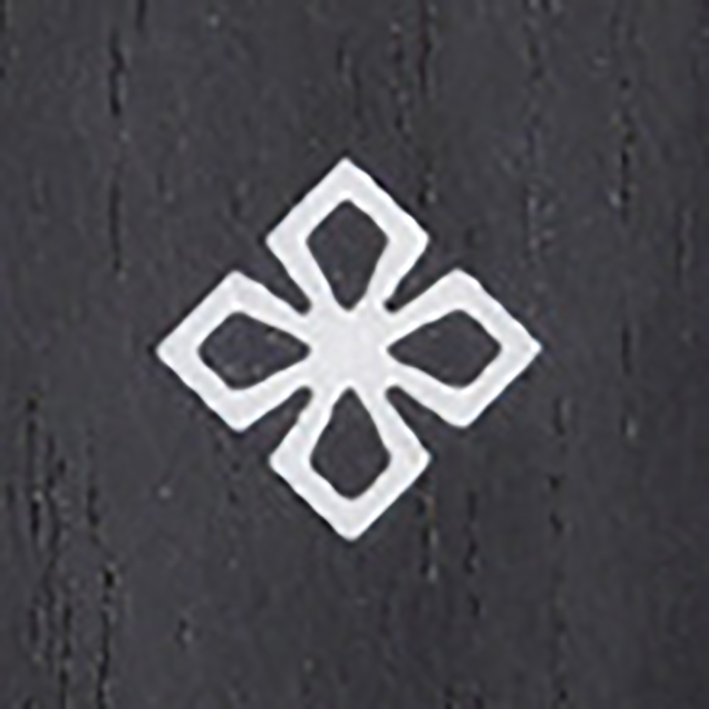 フレットインレイ画像