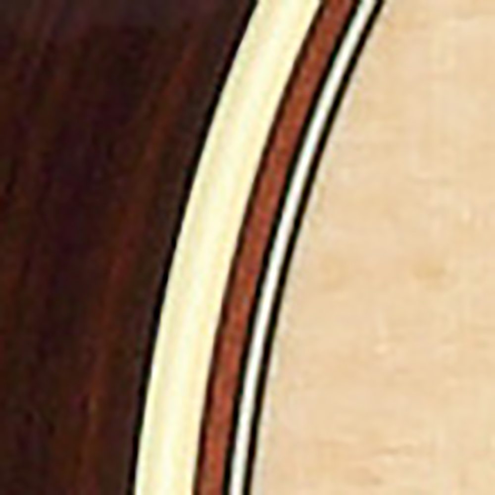 バインディング画像