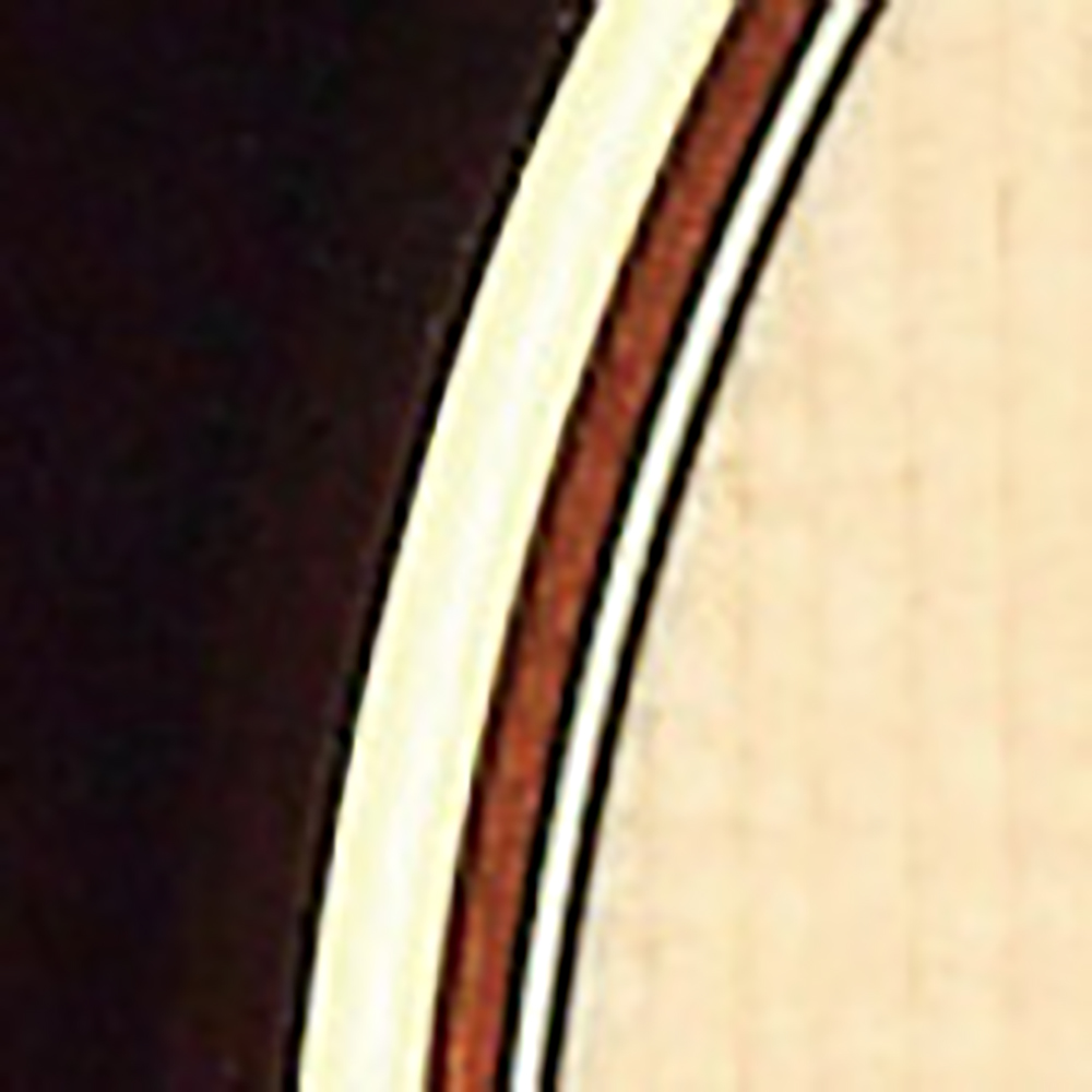 バインディング画像