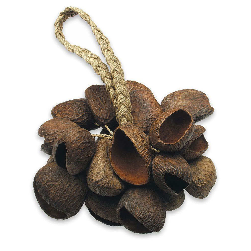 TOCA T-SS シードシェルシェイカー