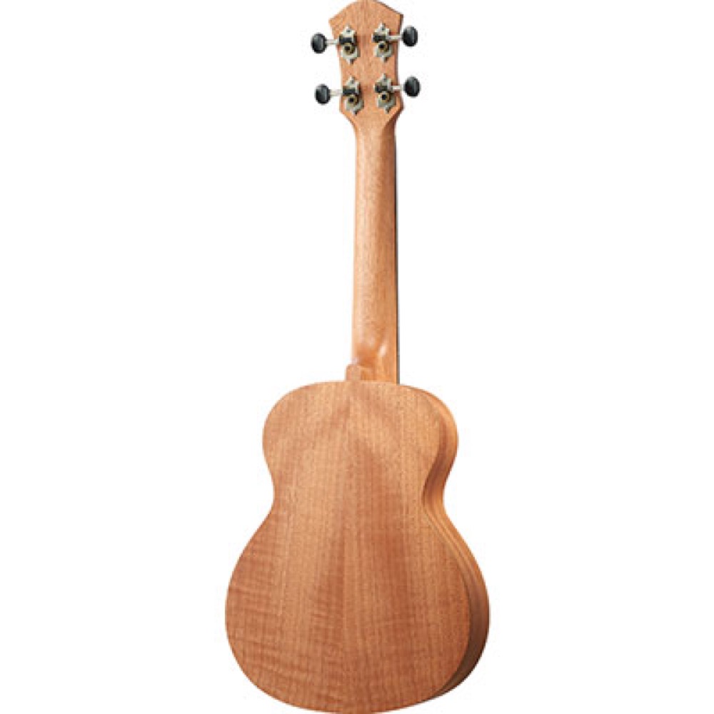 aNueNue aNN-TM2E エレクトリック コンサート ウクレレ 裏面画像