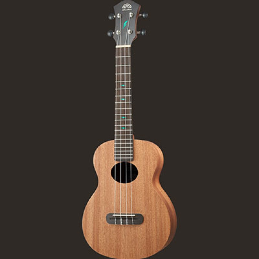 aNueNue aNN-TM2E エレクトリック コンサート ウクレレ 詳細画像