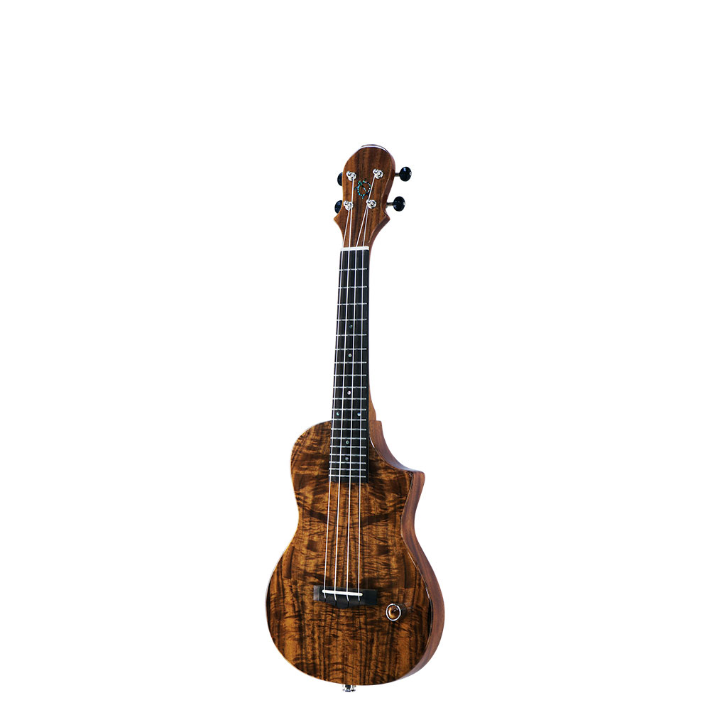 BIG ISLAND EU-ACA-N/EB エレクトリックウクレレ