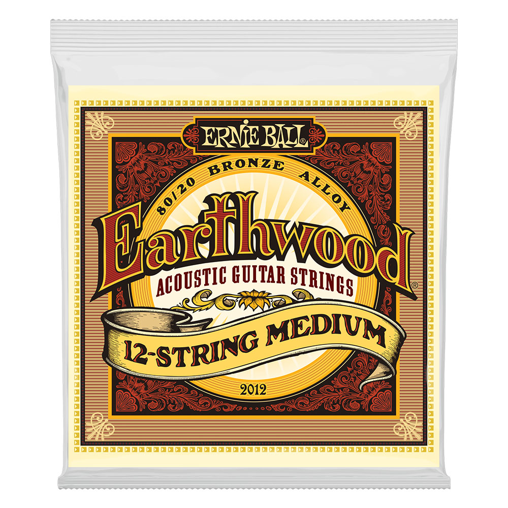 ERNIE BALL 2012 Earthwood Medium 12-String 80/20 Bronze 11-28 Gauge アコースティックギター弦