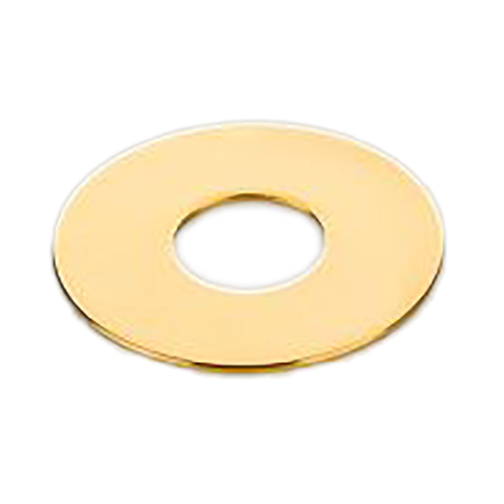 SCHALLER LP Parts Toggle Switch Plate GO トグルスイッチ プレート