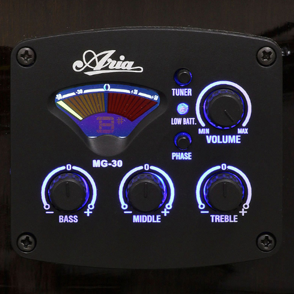 LEGEND FG-15CE BLS エレクトリックアコースティックギター エレクトリックアコースティックギター プリアンプ 画像