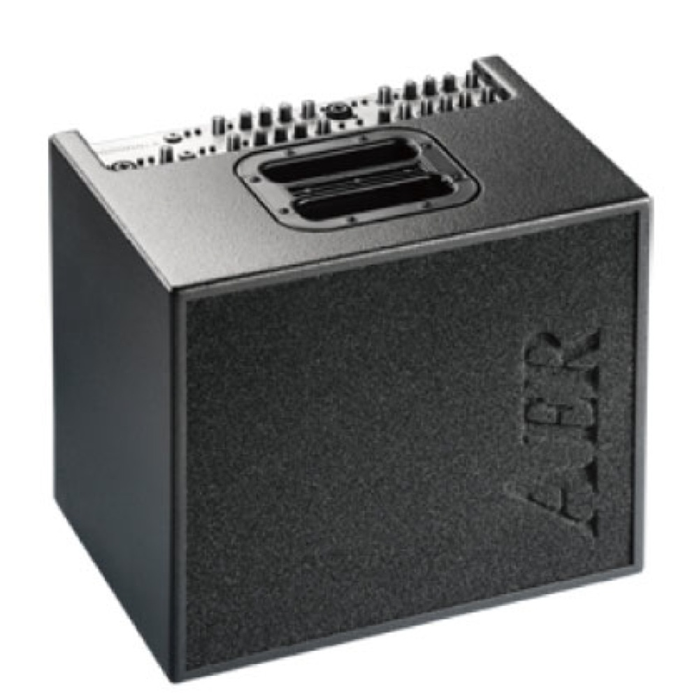 AER Domino2.A アコースティックアンプ